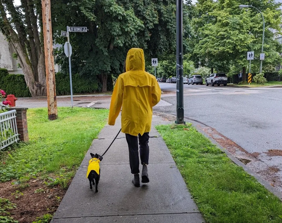 Dog Rain Jacket