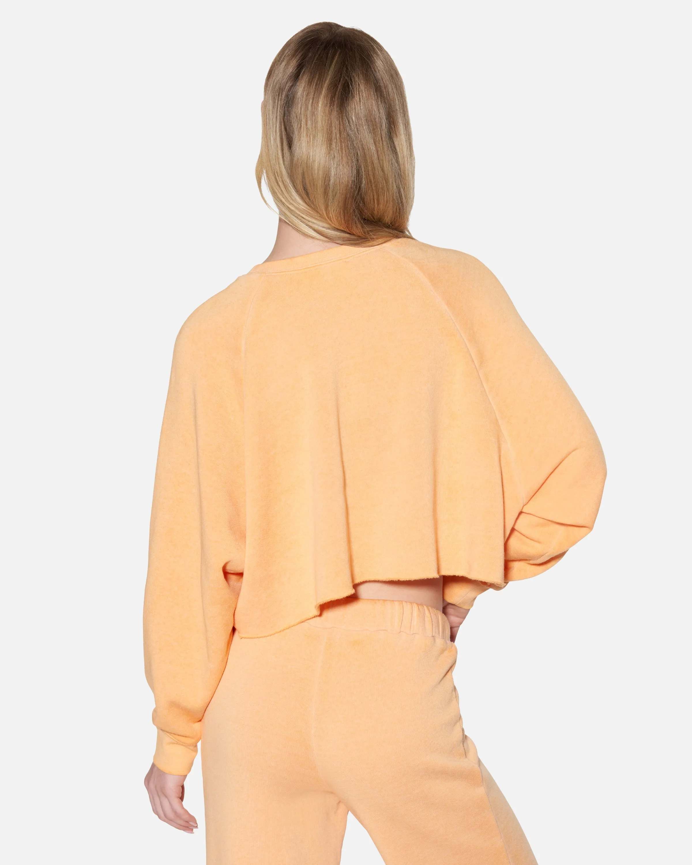 Essential Burnout Fleece Crop Crewneck