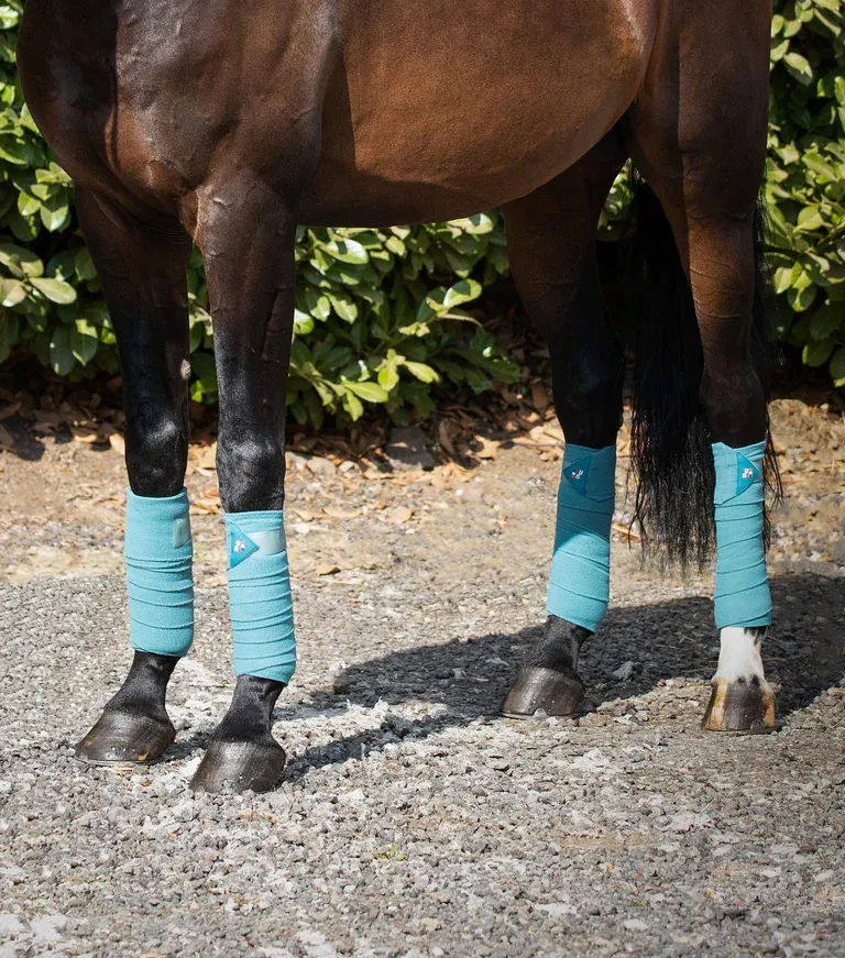 PEI Polo Fleece Bandages (Turquoise)